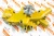 6209-61-1100 Насос водяной Помпа для Komatsu PC200-6, S6D95 Взаимозаменяемые номера: 6209611100